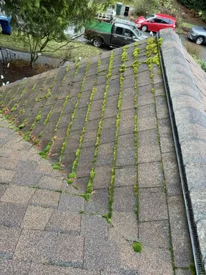 Lana Landscaping Logo