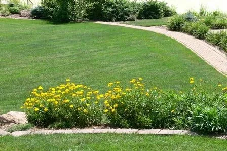 Lanagan Landscaping Logo