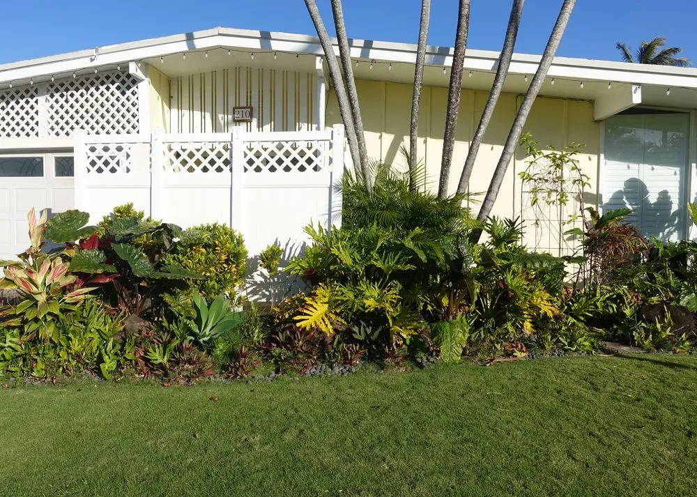Professional yard cleanup service for residential properties in Honolulu, HI by Lanaiscapes