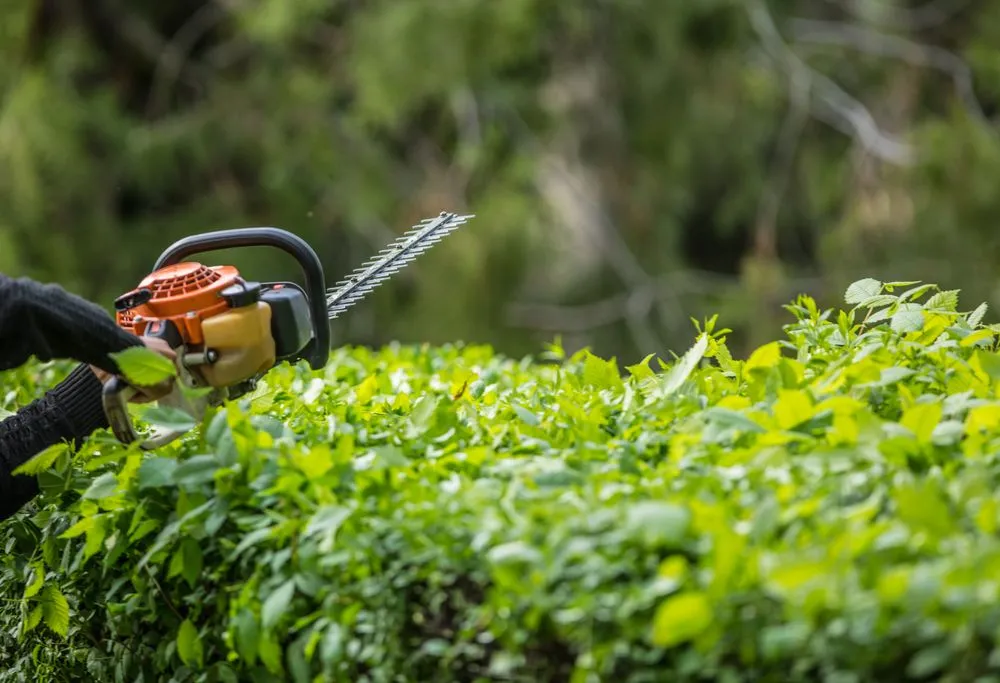 Trusted lawn care service in San Jose, CA by Lancaster Home Service