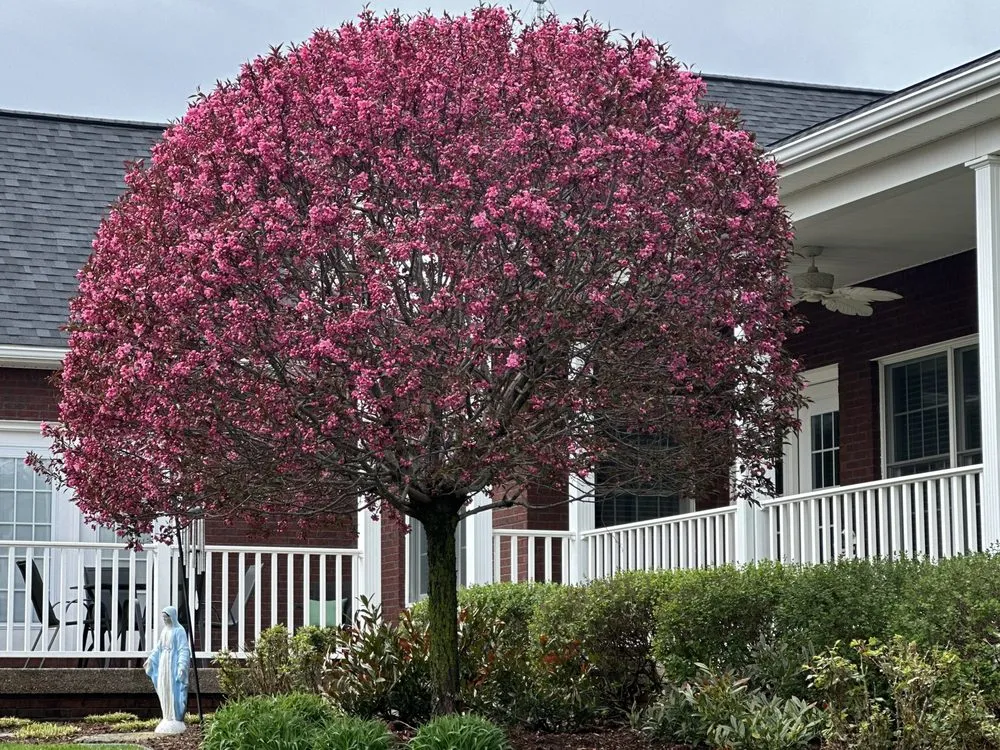 Custom outdoor landscaping in Battletown, KY by Lancaster Lawn & Landscaping
