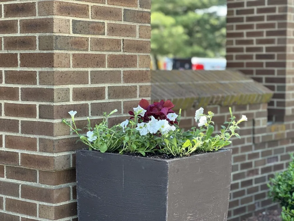 Top-rated landscaping services experts serving Battletown, KY - Lancaster Lawn & Landscaping
