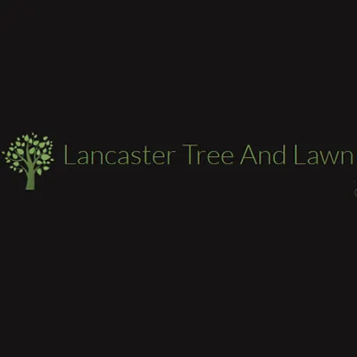 Professional yard cleanup service in Knoxville, TN - Lancaster Tree & Lawn