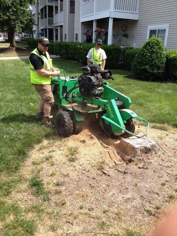 Expert residential landscaping in Atlantic Beach, NC by Lance Ayers