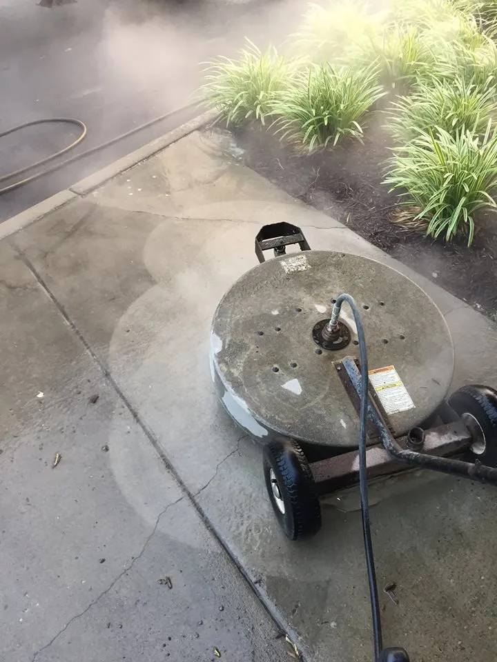 Affordable yard maintenance for year-round maintenance across Atlantic Beach, NC - Lance Ayers