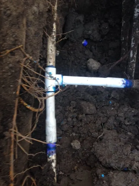 Custom lawn care service for year-round maintenance in Livermore, CA by Lanceco Sprinkler and Repair