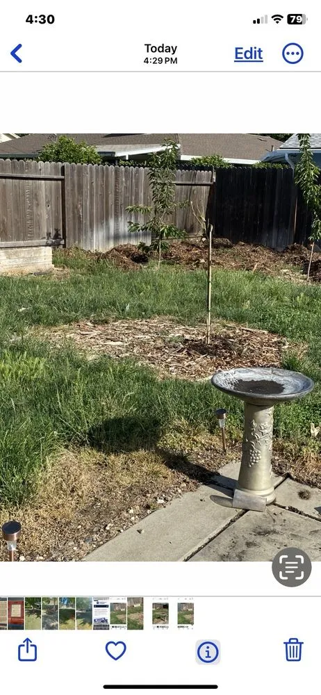 Custom lawn mowing service for homes in Sacramento, CA by Lance’s Landscaping