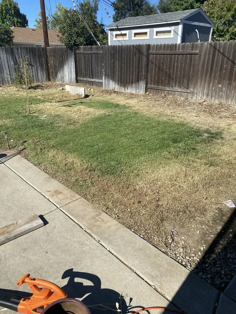 Custom yard cleanup service experts serving Sacramento, CA - Lance’s Landscaping