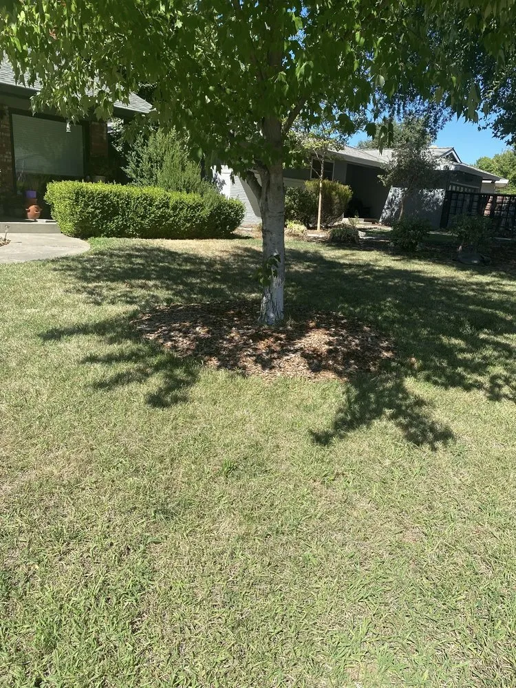 Trusted lawn mowing service in Sacramento, CA by Lance’s Landscaping