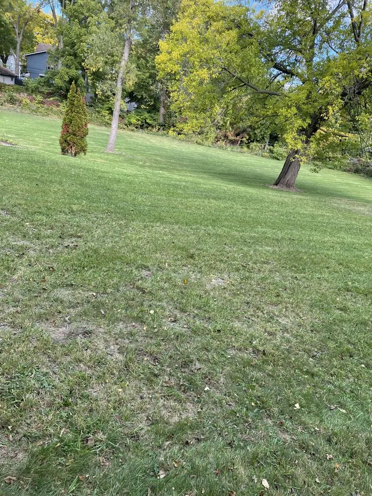 Reliable lawn care service in Oxford, MI by Lance's Lawn Maintenance