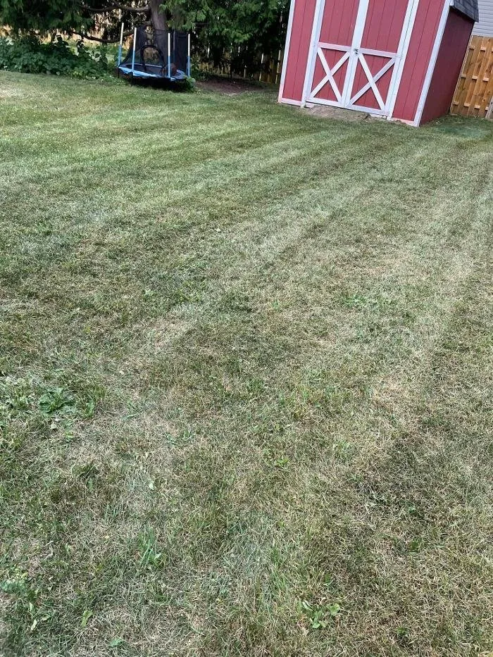 Reliable lawn mowing service in Oxford, MI - Lance's Lawn Maintenance