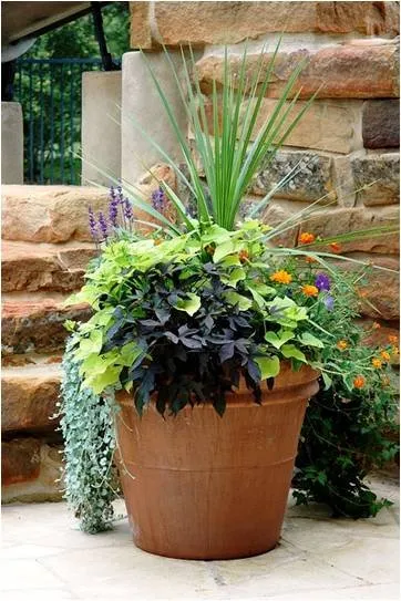 Local yard cleanup service in Columbia, SC by Lancescape