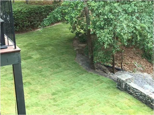 Expert garden landscaping experts serving Columbia, SC - Lancescape