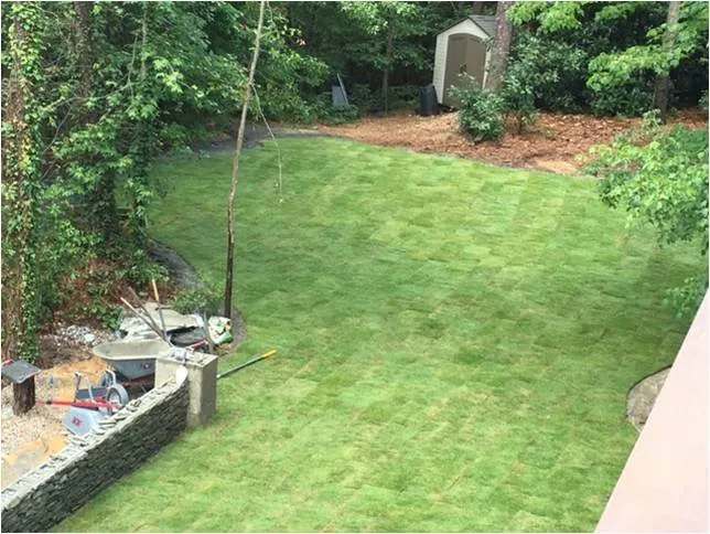 Local yard cleanup service in Columbia, SC - Lancescape