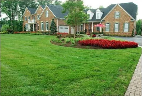 Professional yard cleanup service for homes across Columbia, SC - Lancescape
