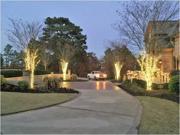 Expert outdoor landscaping experts serving Columbia, SC - Lancescape