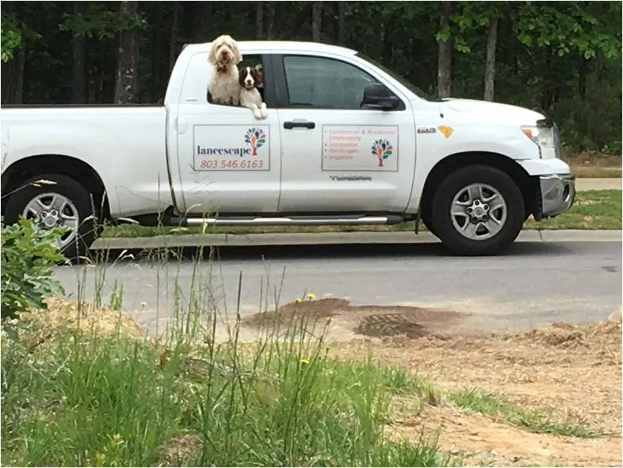 Affordable outdoor landscaping experts serving Columbia, SC - Lancescape