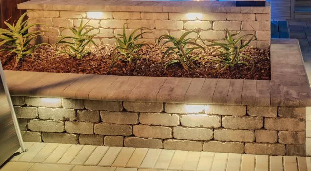 Professional lawn care service for year-round maintenance in Livermore, CA by Lancon Design