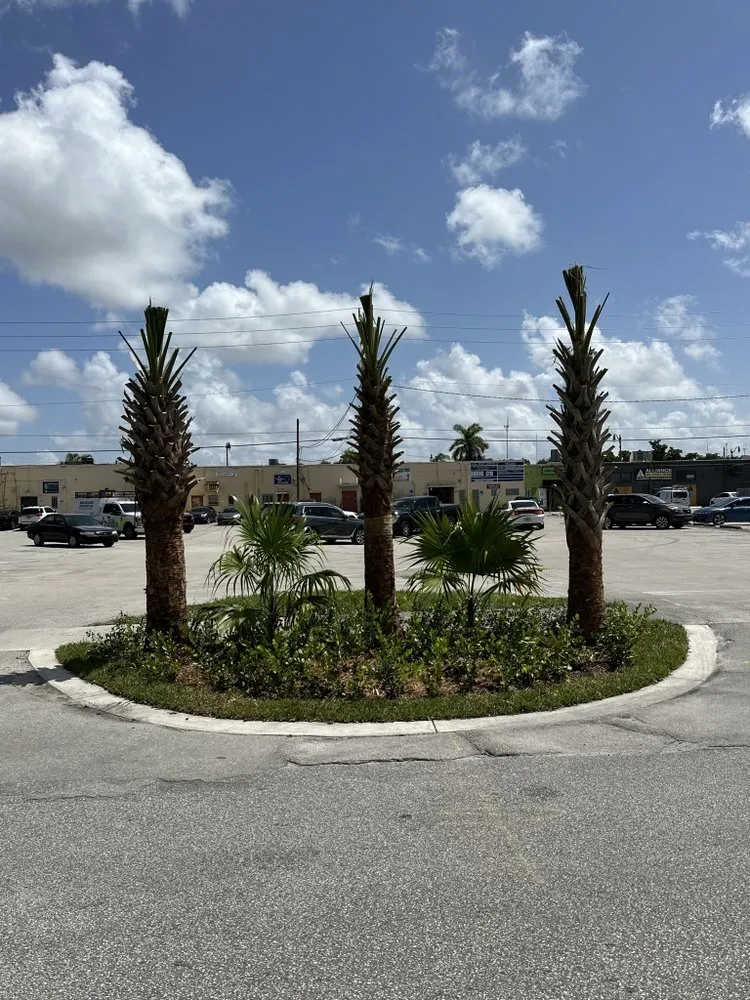 Trusted lawn mowing service for homes across Boulevard Heights, FL - Land + Build
