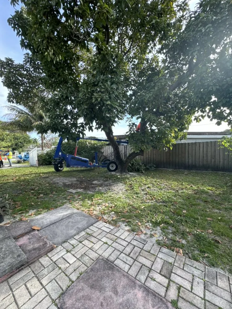Local lawn care service in Boulevard Heights, FL - Land + Build