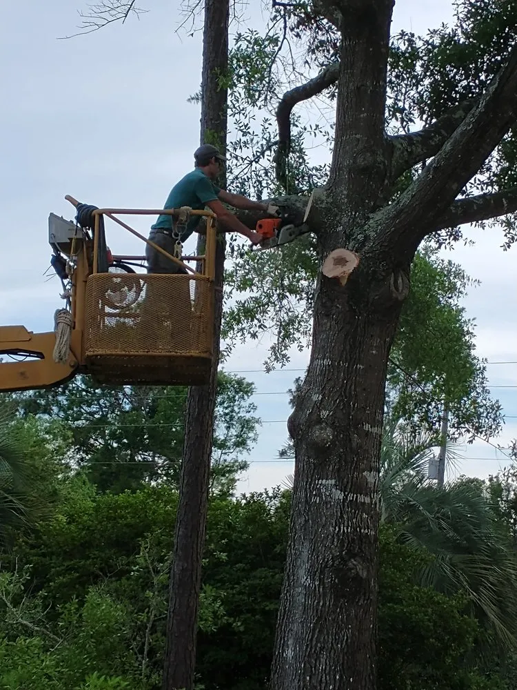Professional yard maintenance with custom design across Robertsdale, AL - Land & Limb Forestry Services