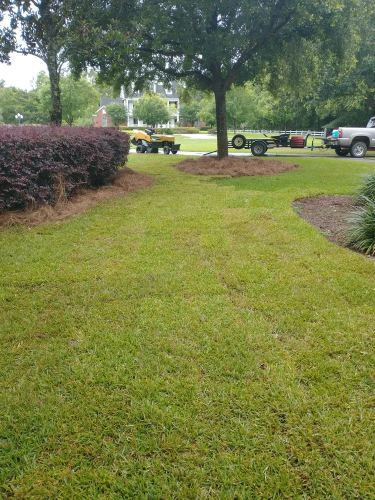 Custom yard cleanup service experts serving Robertsdale, AL - Land & Limb Forestry Services