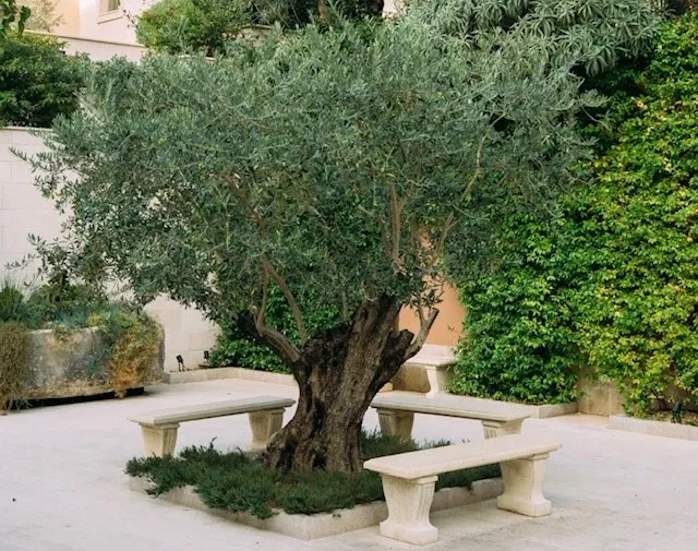 Top-rated yard maintenance experts serving Cheektowaga, NY - Land & Snow Services