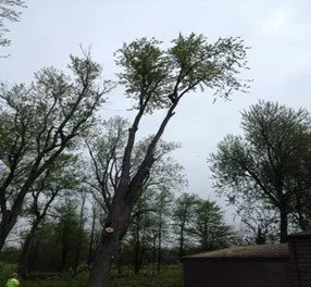 Reliable outdoor landscaping near you across Cheektowaga, NY - Land & Snow Services