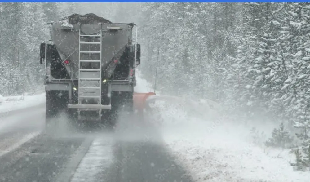 Affordable yard cleanup service near you in Cheektowaga, NY by Land & Snow Services