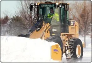 Custom yard cleanup service experts serving Cheektowaga, NY - Land & Snow Services