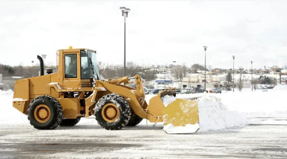 Affordable outdoor landscaping for outdoor upgrades in Cheektowaga, NY by Land & Snow Services