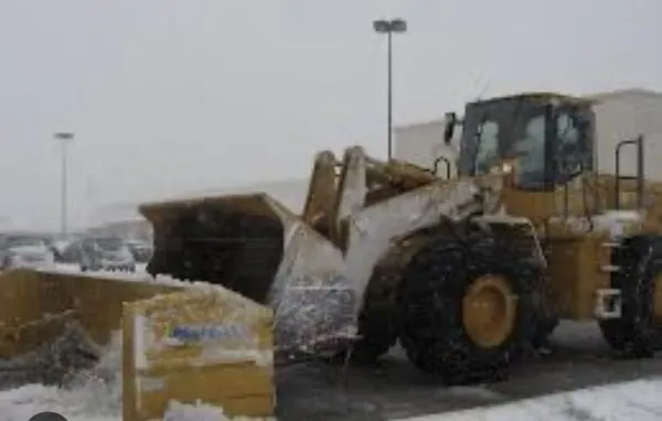 Land & Snow Services Logo