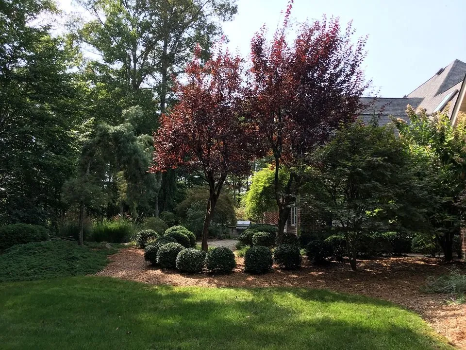 Top-rated lawn care service experts serving Georgetown, OH - Land & Tree Tending Company