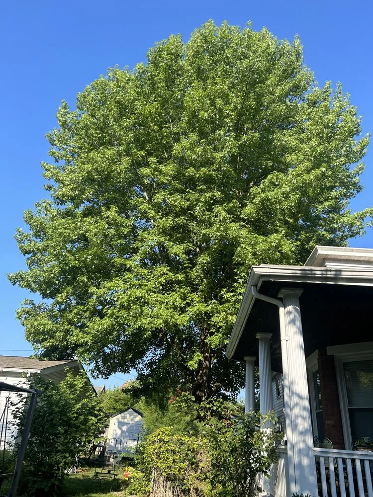 Top-rated landscape installation in Georgetown, OH - Land & Tree Tending Company