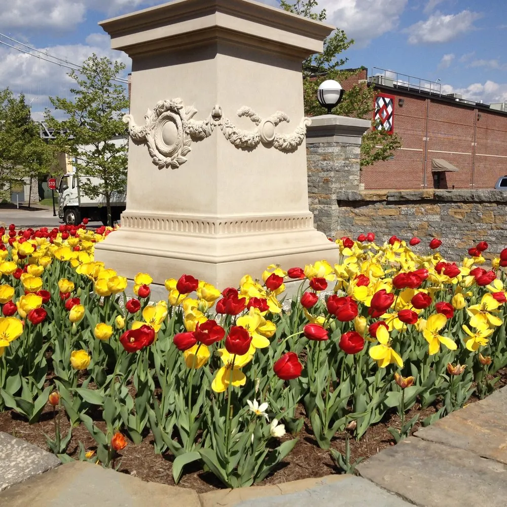 Affordable lawn care service for beautiful yards across Georgetown, OH - Land & Tree Tending Company