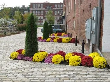 Affordable landscape installation for outdoor upgrades across Georgetown, OH - Land & Tree Tending Company