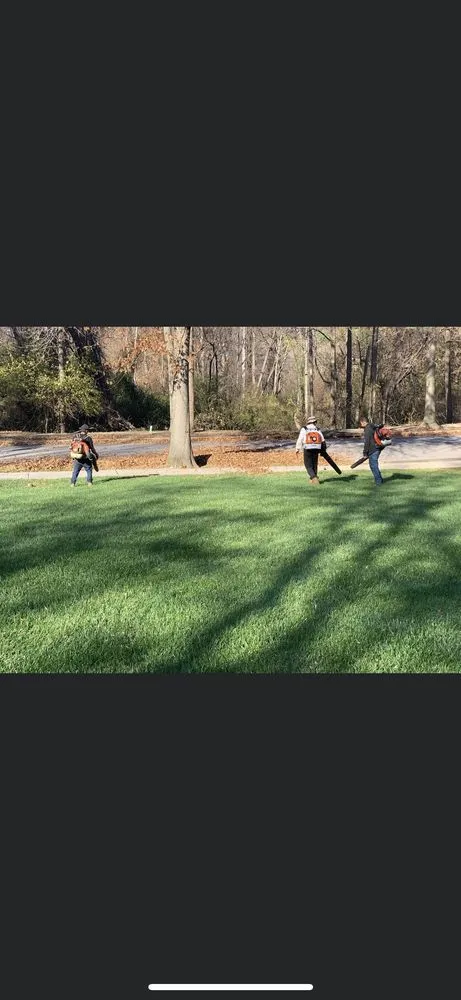 Expert residential landscaping for outdoor upgrades across Columbia, MD - Land Advanced