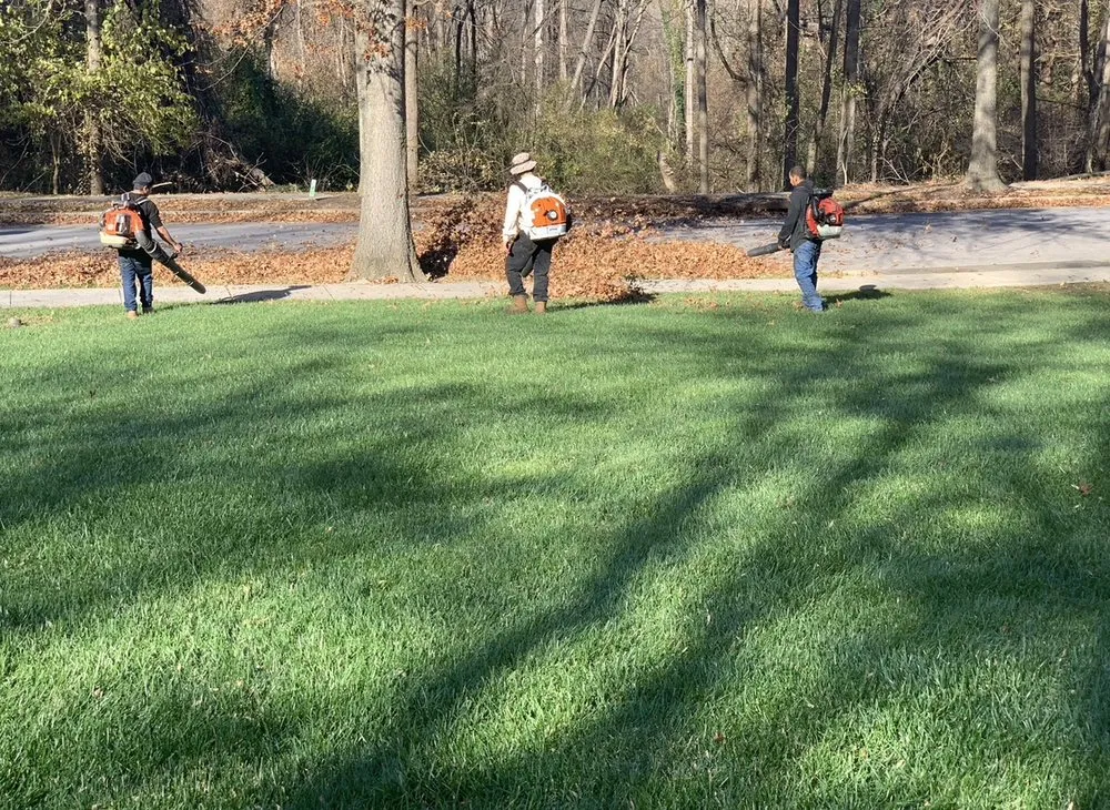 Local yard maintenance in Columbia, MD - Land Advanced