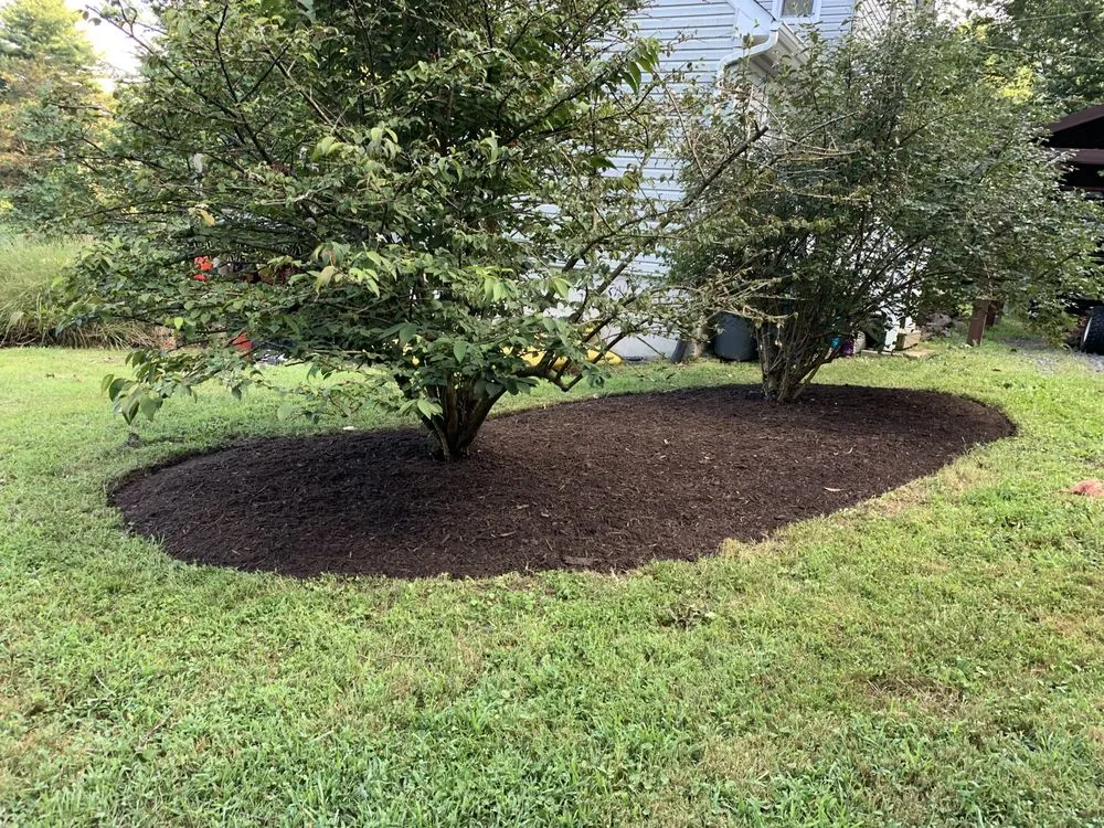 Affordable yard maintenance for residential properties across Columbia, MD - Land Advanced