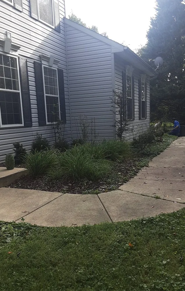 Affordable yard cleanup service in Columbia, MD - Land Advanced