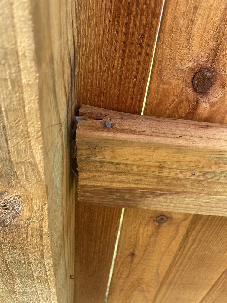 Custom outdoor landscaping in San Antonio, TX by Land Alterations