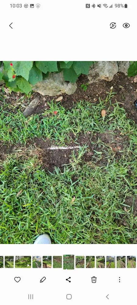 Affordable yard maintenance in San Antonio, TX by Land Alterations