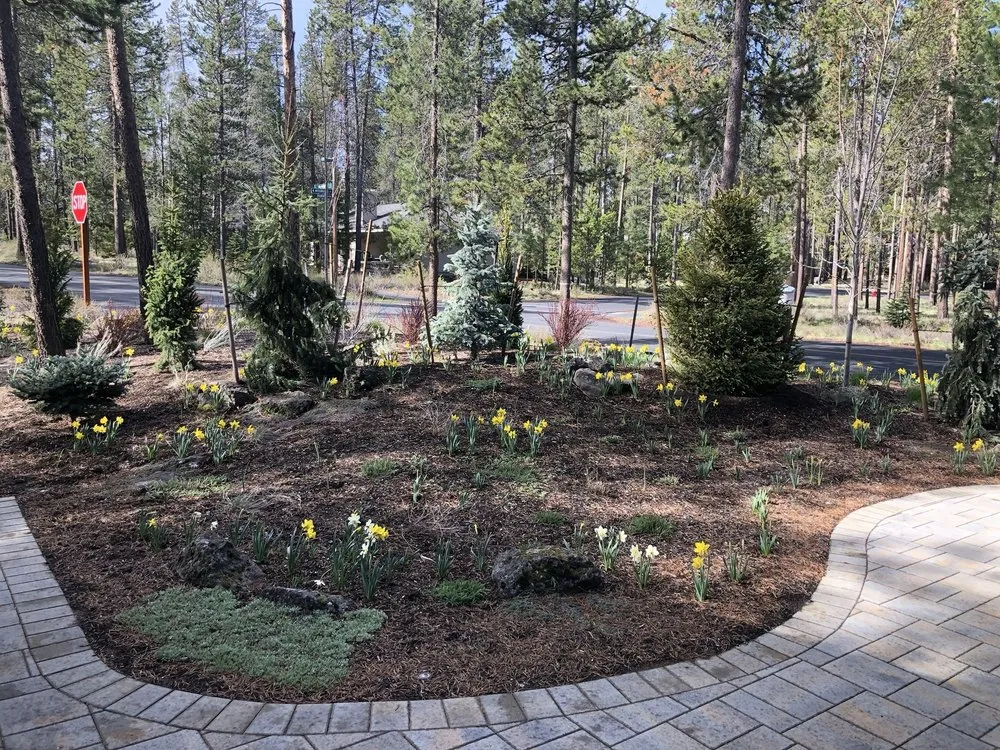 Affordable yard cleanup service for outdoor upgrades in Bend, OR by Land Appeal