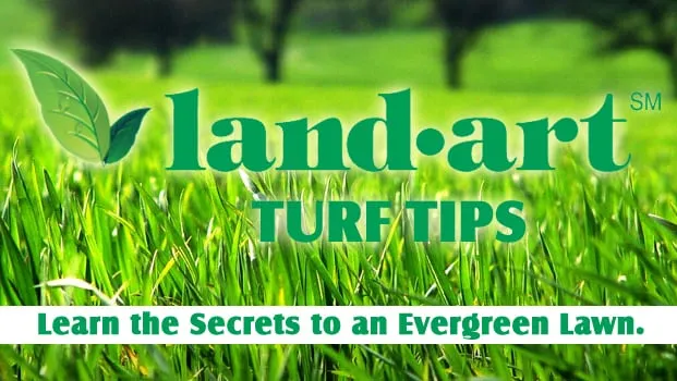 Trusted garden landscaping in Naples, FL - Land Art