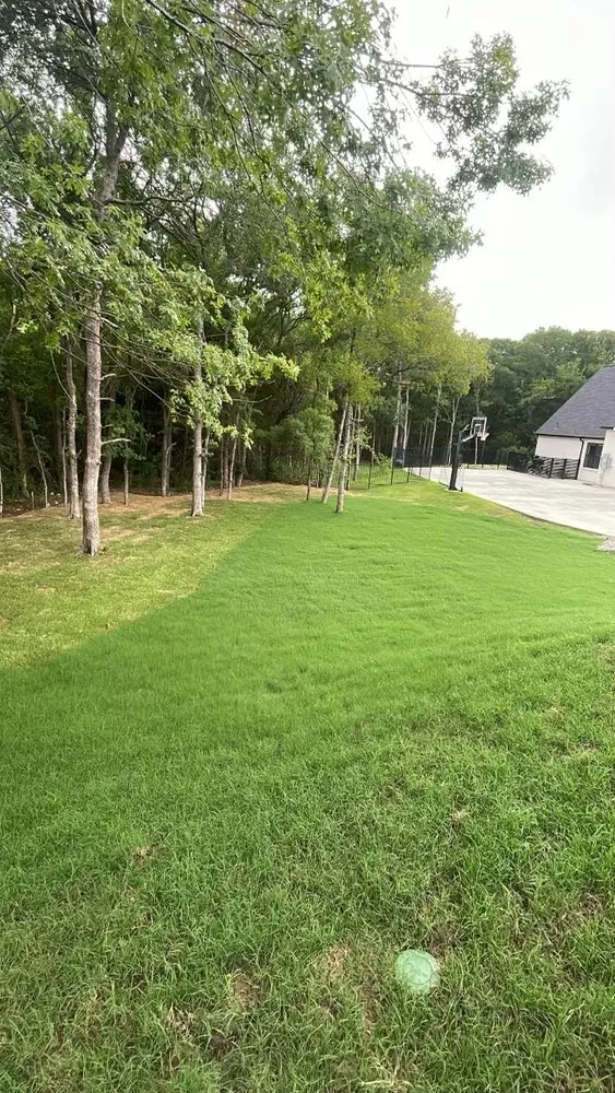 Expert garden landscaping experts serving Rockwall, TX - Land Art