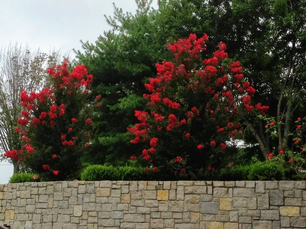 Custom lawn care service in Springfield, TN - Land Art