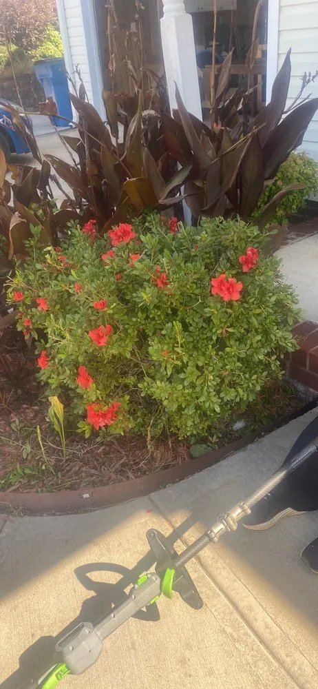 Custom yard cleanup service in Rock Hill, SC by Land Boys Lawn And Land Care