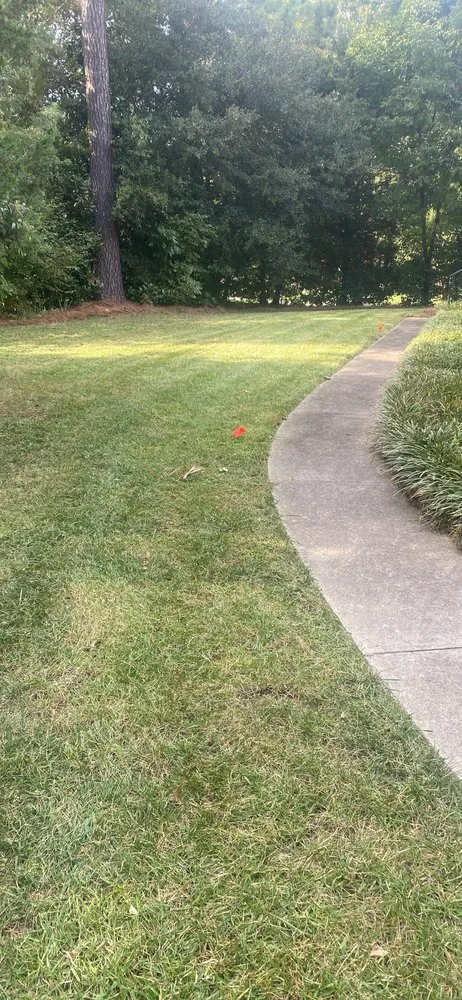 Trusted yard cleanup service in Rock Hill, SC - Land Boys Lawn And Land Care