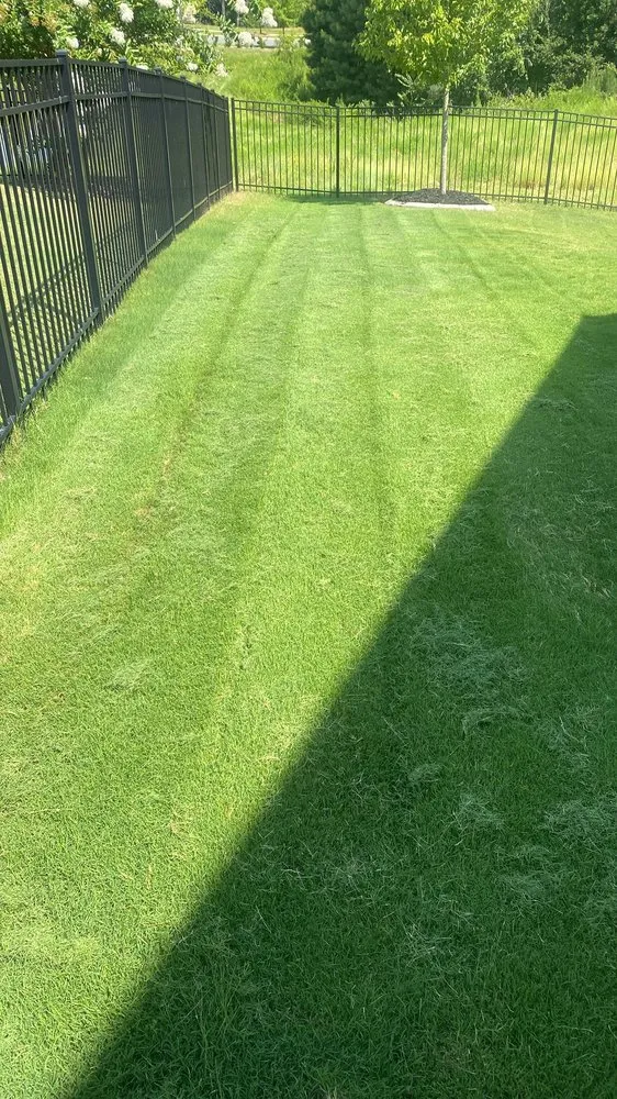 Expert yard cleanup service for beautiful yards across Rock Hill, SC - Land Boys Lawn And Land Care