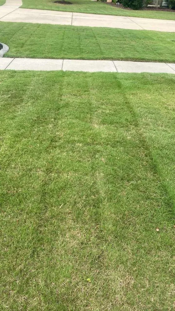 Professional landscaping services for outdoor upgrades in Rock Hill, SC by Land Boys Lawn And Land Care